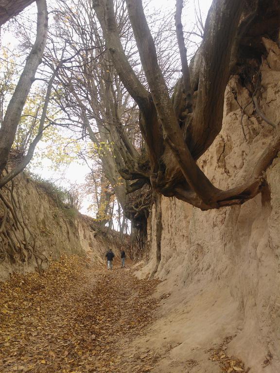 32 Bombonierka Pod Aniolem Kazimierz Dolny